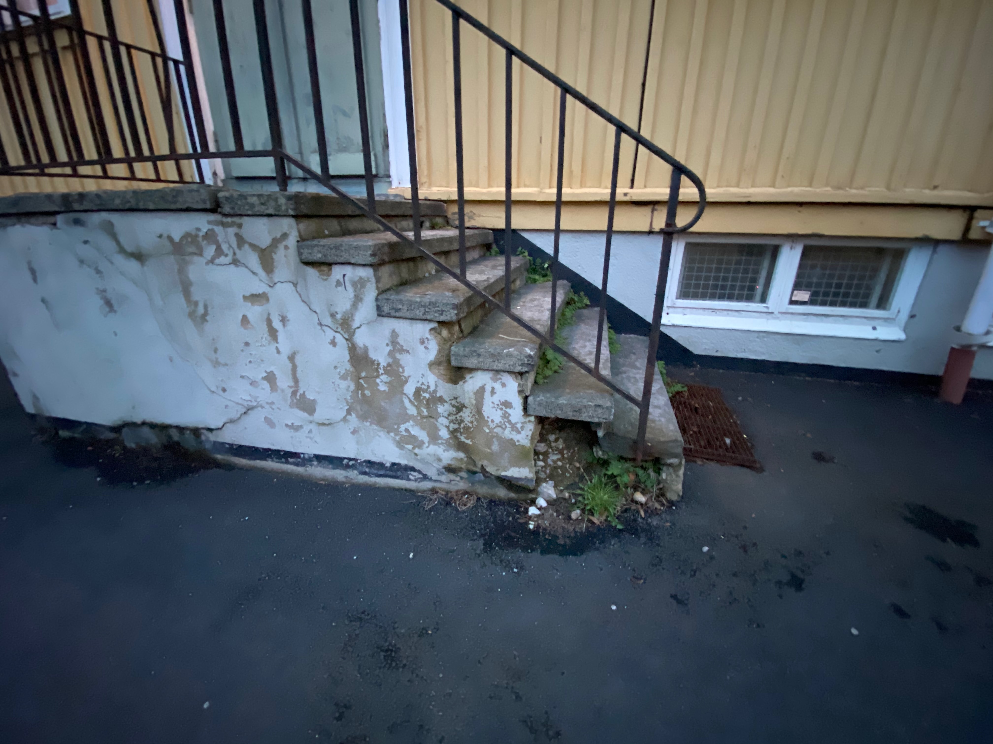 Närbild på vittrade betongtrappor med ogräs