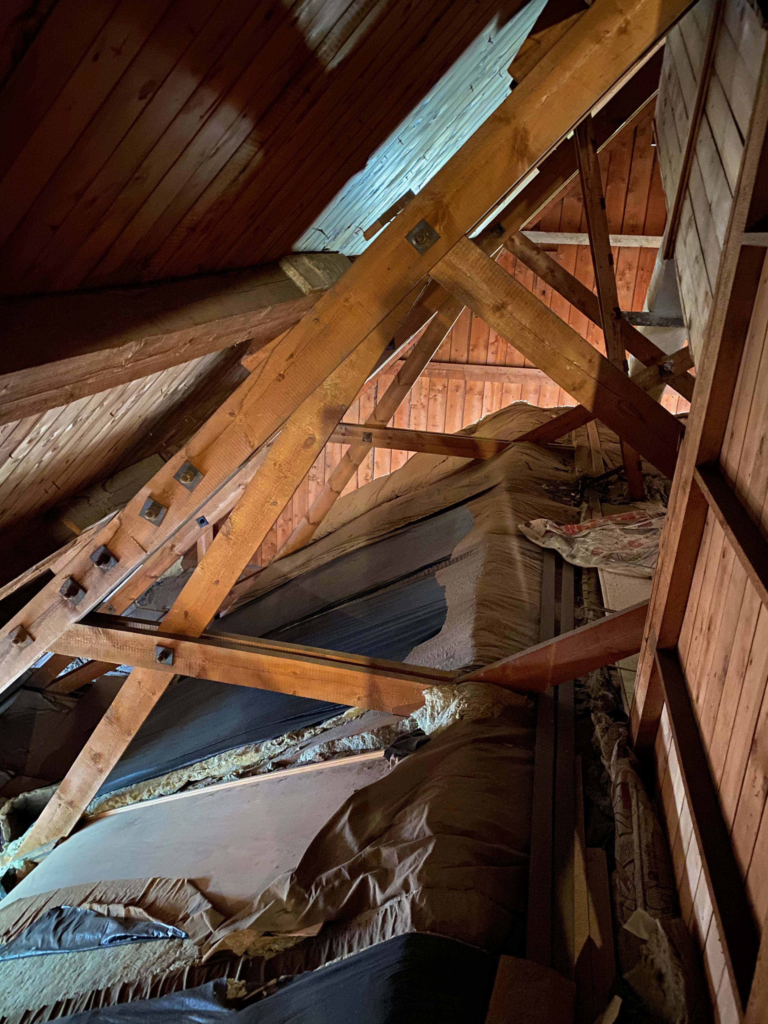 Blottlagd takstruktur under inspektion